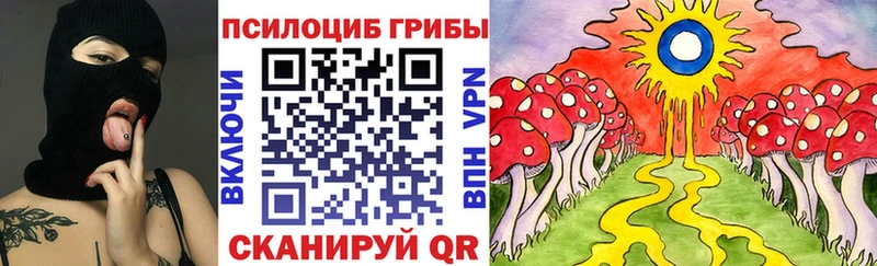 Купить  Куровское  Галлюциногенные грибы мицелий 