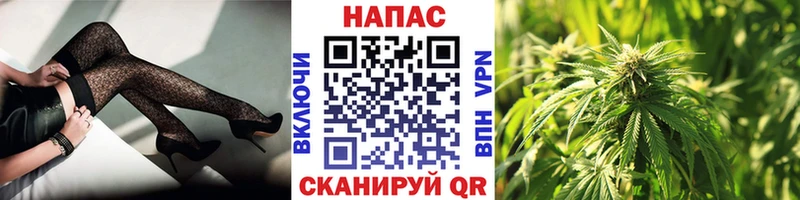 Купить  Куровское  МАРИХУАНА Bruce Banner 